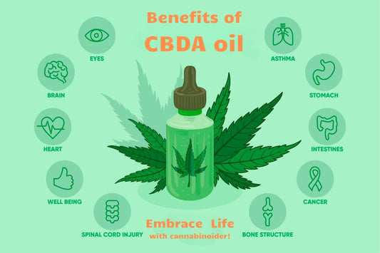 Vad är CBDA – och vilka potentiella hälsovinster erbjuder denna exklusiva cannabinoid