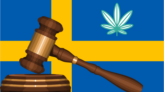 Den Legala Statusen för CBDA-olja i Sverige