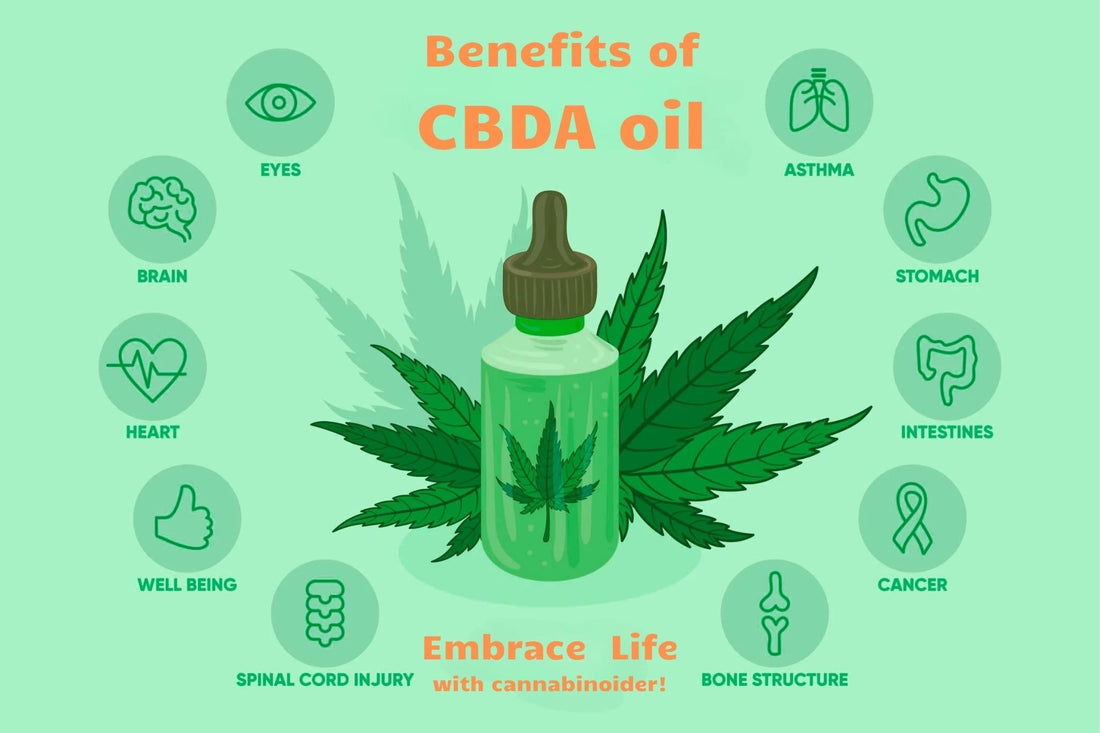 Vad är CBDA – och vilka potentiella hälsovinster erbjuder denna exklusiva cannabinoid