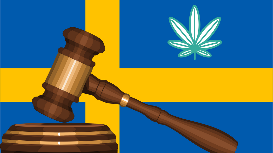 Den Legala Statusen för CBDA-olja i Sverige